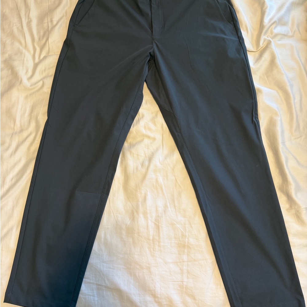 Fabletics Men's Dark Gray Chinos